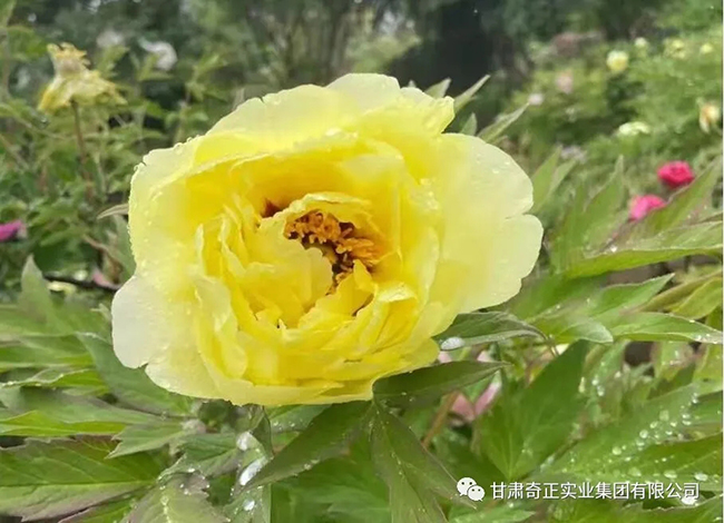 EON4首页-意昂4·(中国区)官方直营平台!