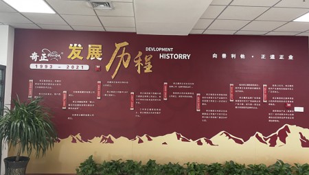 意昂4官网集团文化墙