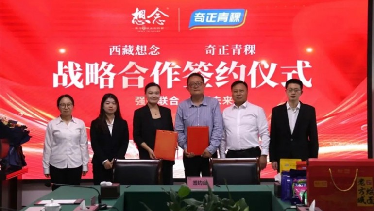 新质赋能，融誉前行——意昂4官网集团2024年大事记